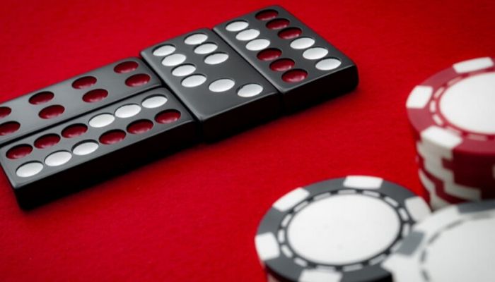 Domino